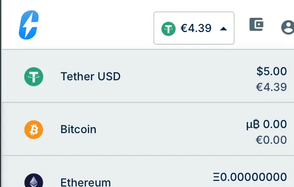 Cryptorino crypto deposit page showing USDT deposit address and confirmation that funds were credited