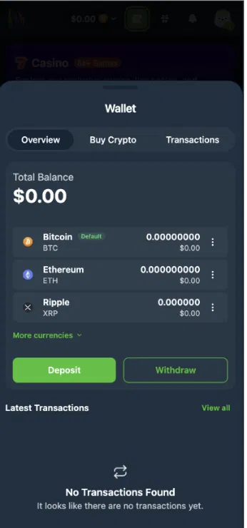 Wild.io crypto wallet overview with Bitcoin, Ethereum and Ripple balances