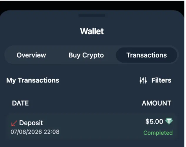 Wild.io deposit of 5 USDT completed during our real-money test