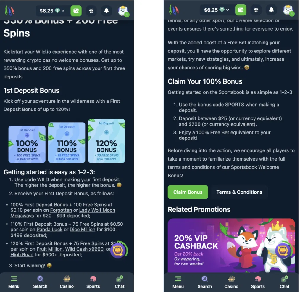 Wild.io welcome bonus terms showing 100, 110 and 120 percent deposit tiers and wagering