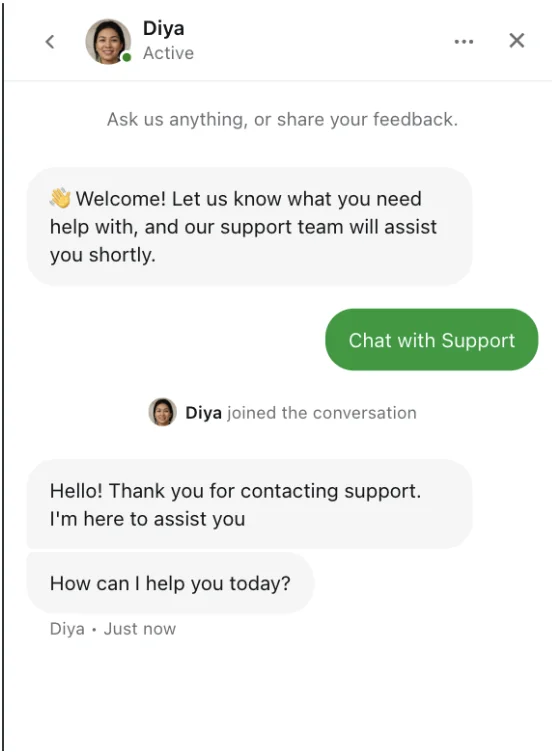 BC.Game live chat window with support agent Diya greeting the player and asking how she can help